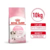 my-11134207-7r98x-lt3fh84puvav00.webp Royal Canin Cat Dry Food 10kg