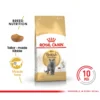 my-11134207-7r990-ln9ubis5jqgs8b.webp Royal Canin Cat Dry Food 10kg