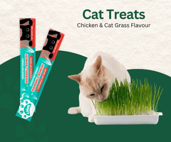 my-11134207-820lc-ms2ey73dclc798.webp LILIEN Creamy Cat Treats Irresistible Cat Grass Flavour 15g Loose Pack