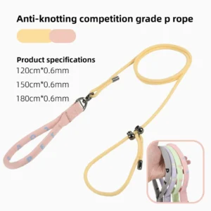 sg-11134201-825aj-mrhcqp33bf2f65.webp P Chain Dog Training Leash